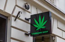 Cannabis Shop Sign with Green Cannnabis Leaf