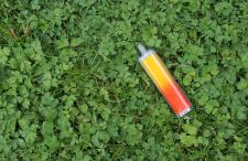 E-cigarette laying on grass and clovers