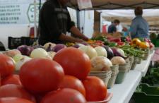 Vegetables displayed at the farmer's market