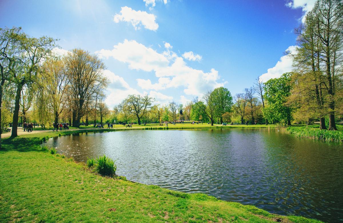 A pond in a park