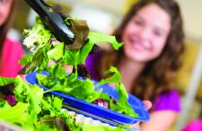 Child being served salad greens in the cafeteria