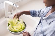 A woman washing lettuce in the sink