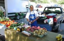 Farmer's Market Vendor