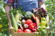 Vegetables in Box