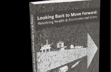 Looking Back to Move Forward Book Cover