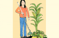 Illustration of Native farmer planting maize